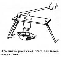 Домашний рычажный пресс для выжимания сока