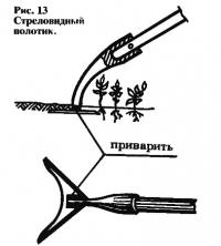 Рис. 13. Стреловидный полотик