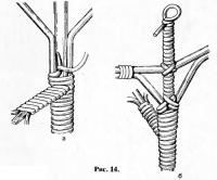 Рис. 14.