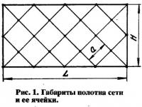 Рис. 1. Габариты полотна сети и ее ячейки