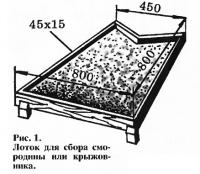 Рис. 1. Лоток для сбора смородины или крыжовника