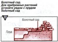 Рис. 22. Болотный сад