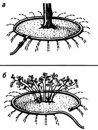 Рис. 3. Поливочное устройство из шланга: а) с тройником, б) упрощенное