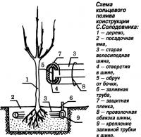 Рис. 4. Схема кольцевого полива конструкции С.Солодовника