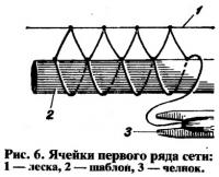Рис. 6. Ячейки первого ряда сети