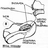 Рис. 8.