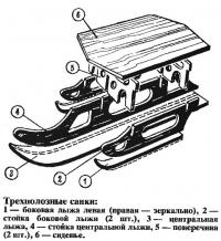 Внешний вид трехполозных саней